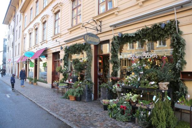 Stadtteil Haga in Göteborg