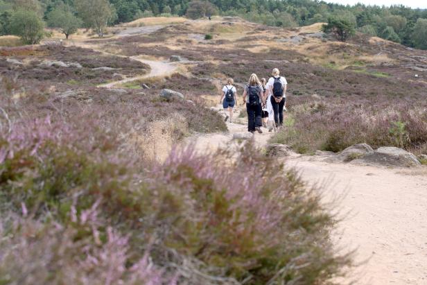 Naturreservat Änggårdsbergen