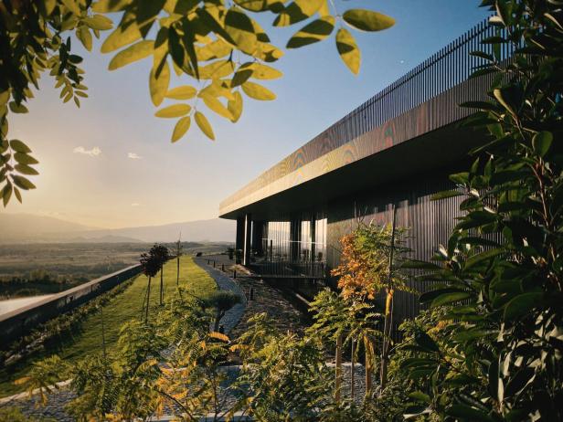 AYA Estate Vineyards