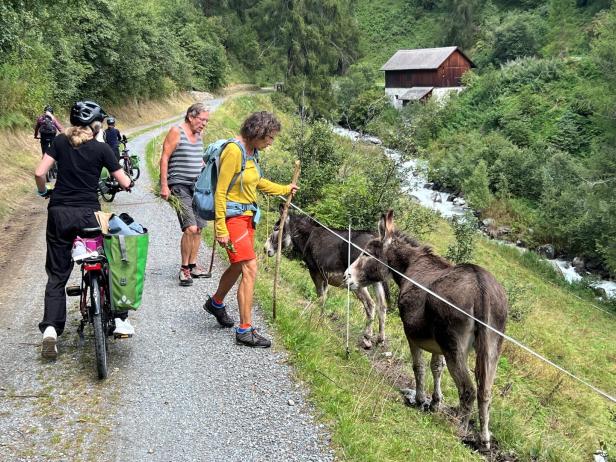 Drei Menschen auf einem Wanderweg begegnen zwei Eseln hinter einem Zaun, im Hintergrund ein Bach und ein Holzhaus.