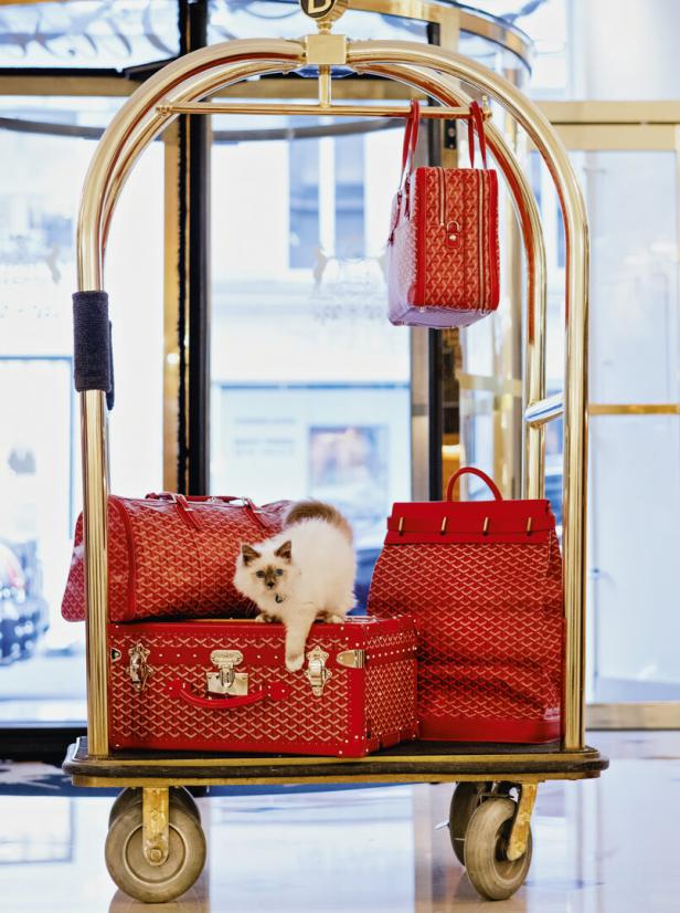 Ein Gepäckwagen mit mehreren roten Koffern und Taschen, auf denen eine kleine weiße Katze liegt.