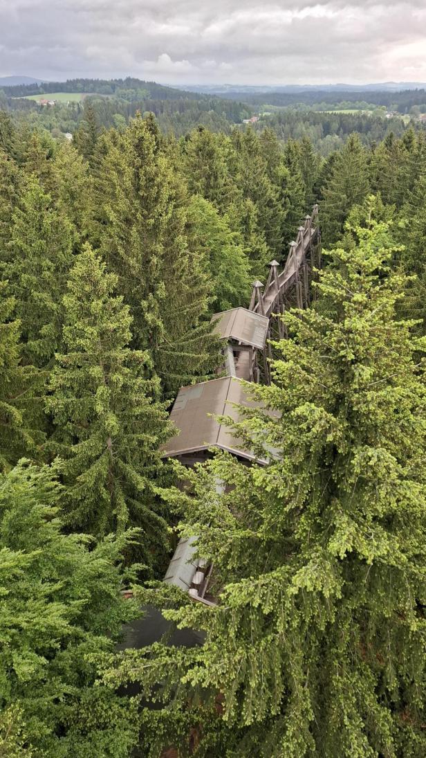 WaldEntdeckerWelt