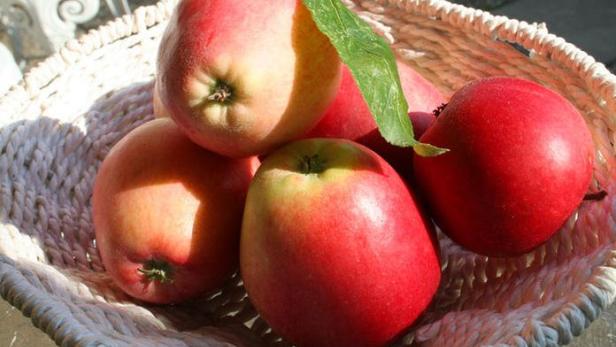 Rote Äpfel liegen von der Sonne beschienen in einer geflochtenen Obstschale