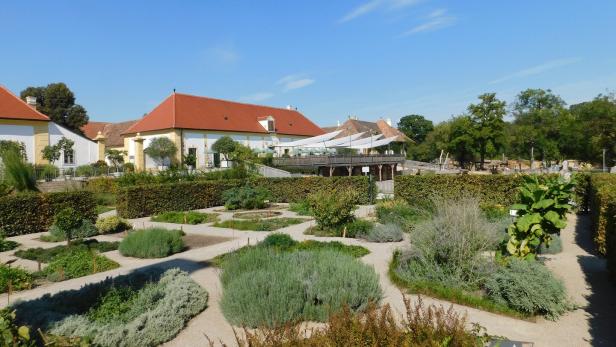 Der Kräutergarten von Schloss Hof