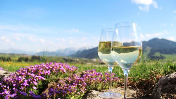 Zwei Gläser Weißwein