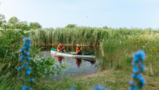 Kanufahrt auf dem Neusiedler See