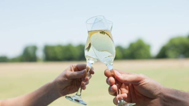 Couple drinking Champagne and toasting