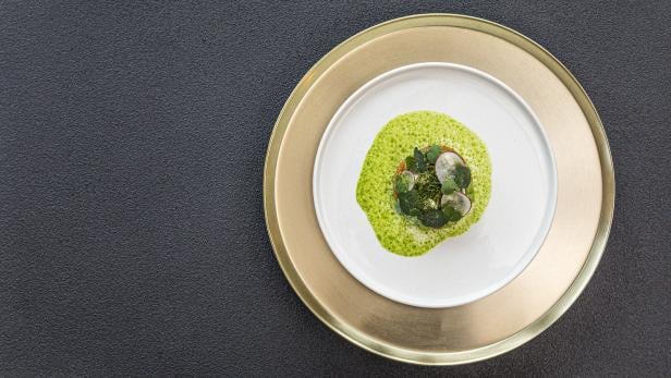 Kleines rundes Lachstatar in grüner Guacamole 