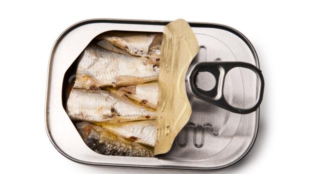 Open tin of Sardines