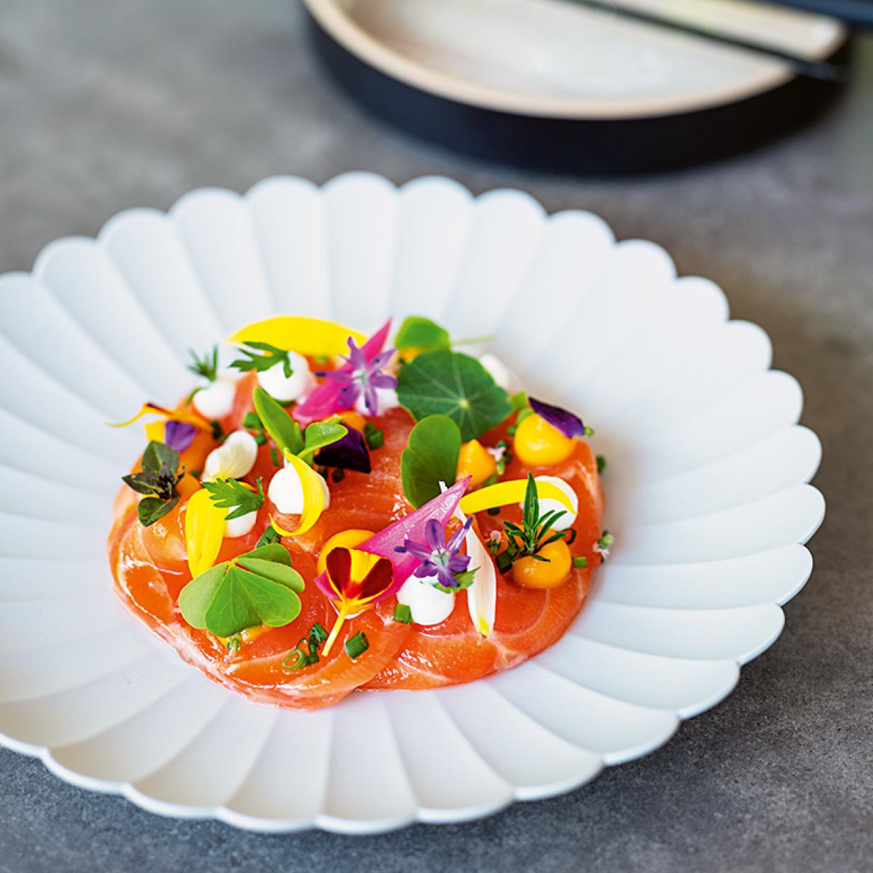 Gebeizter Lachs mit Gurke und Gartenkräutern