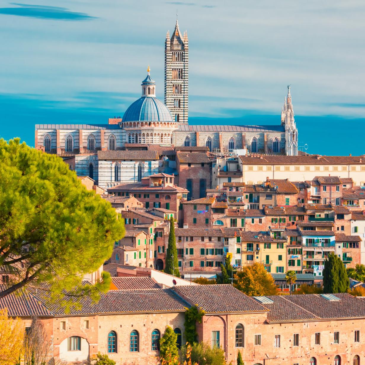 Reisetipp Die besten kulinarischen Spots in Siena
