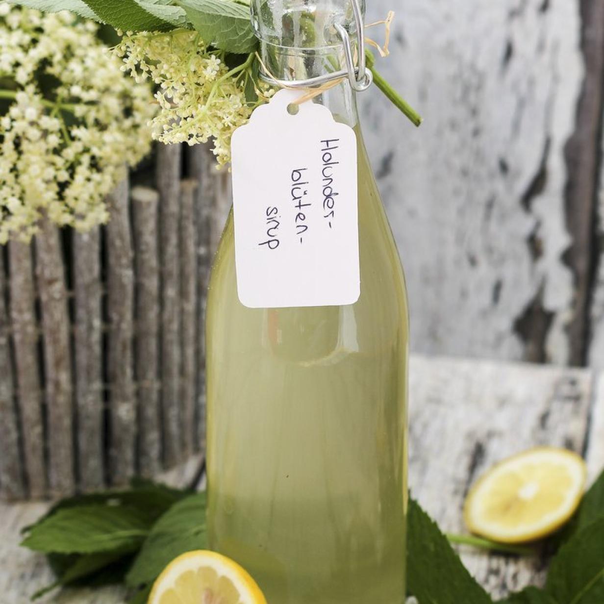 Fruchtig &amp; aromatisch: Selbstgemachter Holundersirup