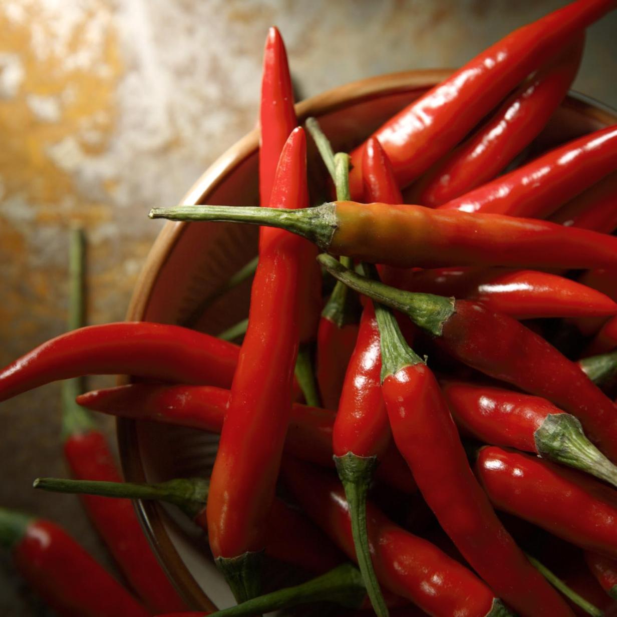 Dummer Junge Isst Schärfste Chilli Der Welt Der schärfste Chili der Welt und 5 Lokal-Tipps für scharfes Essen in Wien