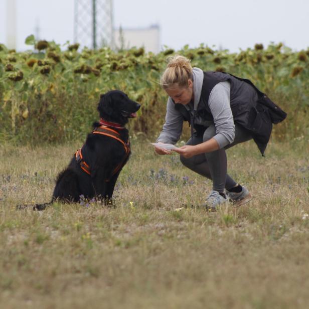 Prüfung im Feld: Bea Maas und Spürhündin Watson haben eine Geruchsprobe gefunden.