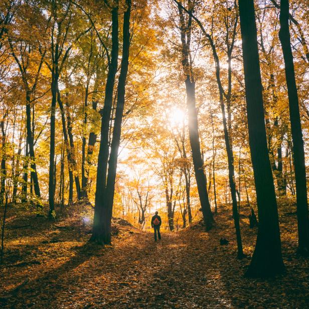 Lust auf ÖSterreich_Wandern im Herbst