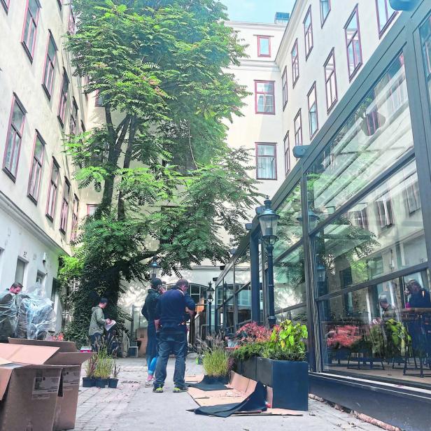 Durchgang Mariahilfer Straße 101: Pflanzen für das neue Lokal „Stadtallee“ werden angeliefert