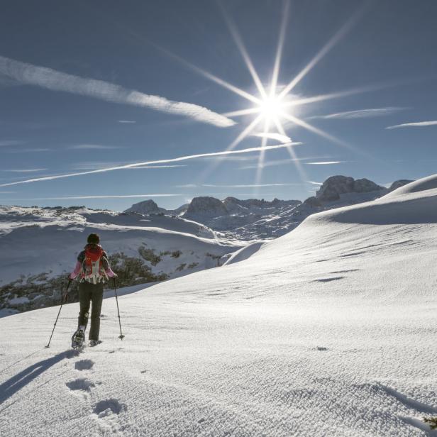 Ski Piste 