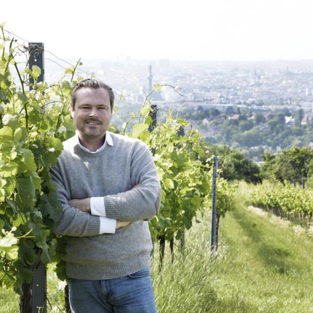 Gerhard Lobner ist Geschäftsführer des Weingutes „Mayer am Pfarrplatz“ und „Rotes Haus“ – und gerne im Weingarten. Zum Beispiel auf dem Wiener Nussberg.