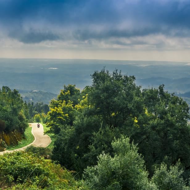 Eine andere Seite von Portugal: dichte Wälder und Einsamkeit im Hinterland der Atlantikküste
