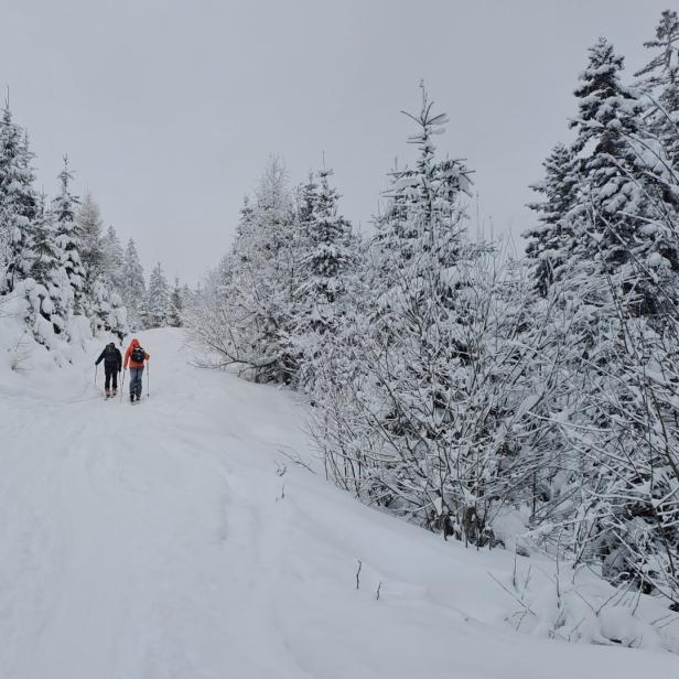 Den frisch verschneiten Rodelweg hinauf zur Kleinarler Hütte
