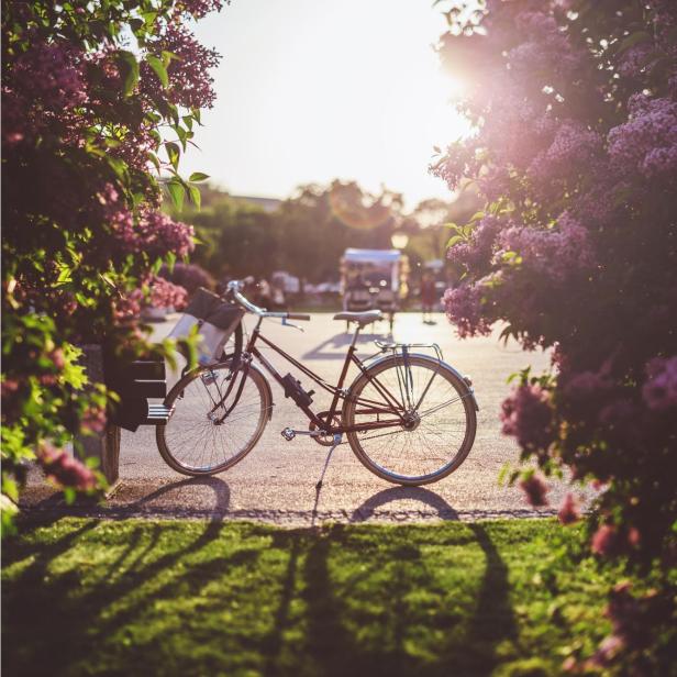Bicycle at sunset. - Stock-Fotografie
