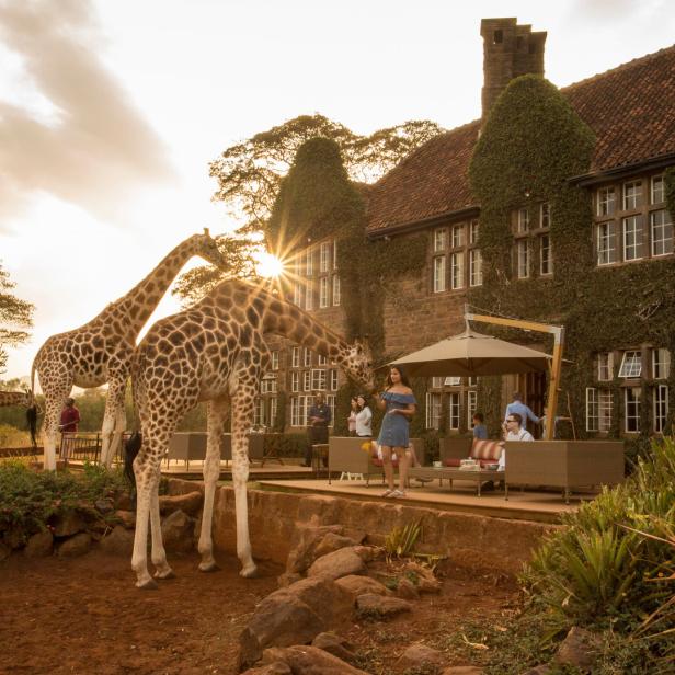 Dem Leben ganz nah: Unterkünfte weltweit mit Safari-Charakter