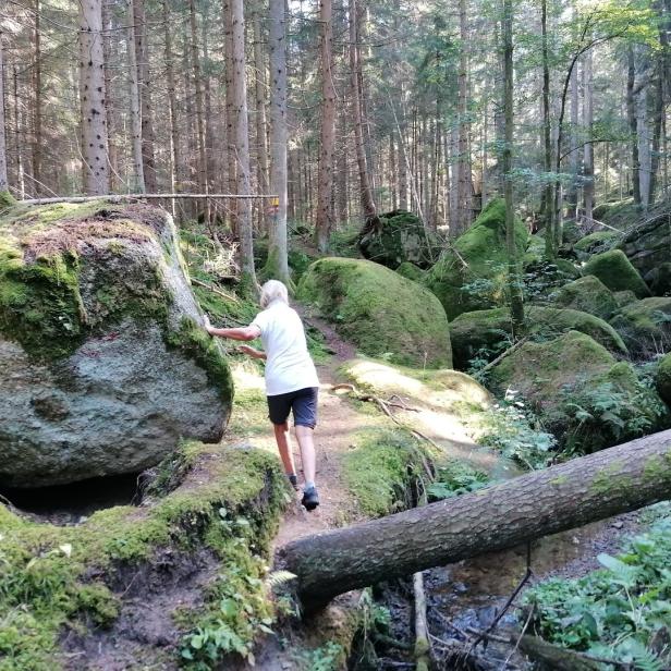 Zwischen Bächlein und Steinen in der Weißenbachklamm