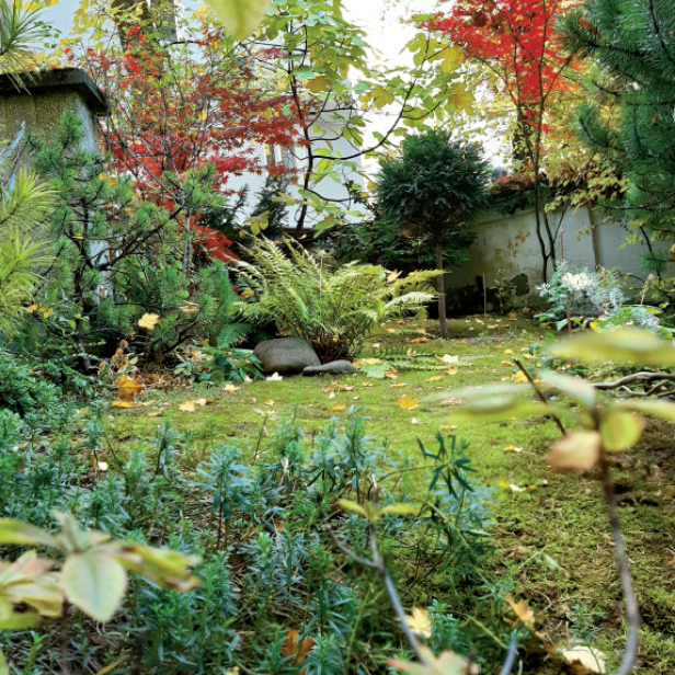Auf einem ehemaligen Schutthaufen in einer Münchner Hinterhofsituation hat Schriftstellerin Ulrike Keller ihren Moosgarten angelegt
