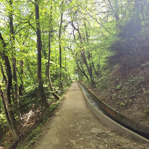 Waalweg in Südtirol, Nähe Meran, kleiner Kanal im Wald