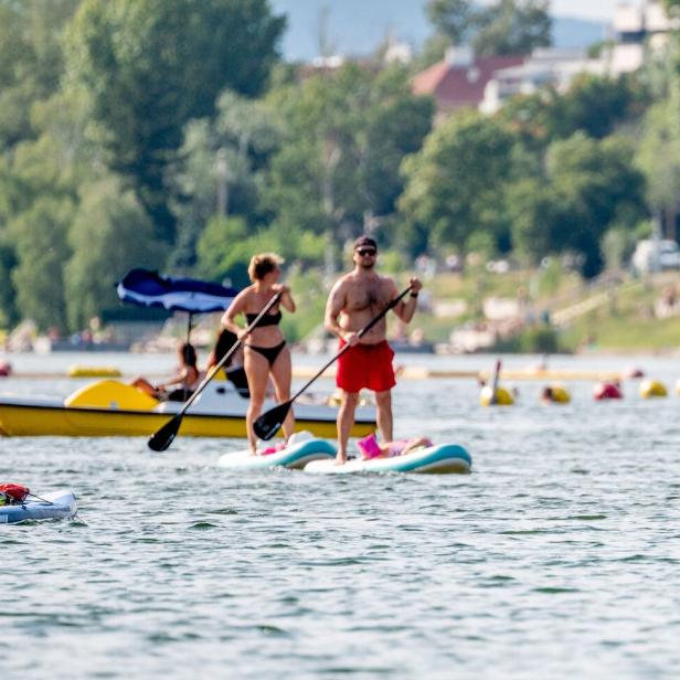 Paddeln auf der Donau