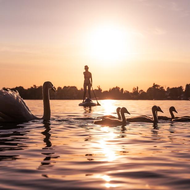 Bodensee im Sonnenuntergang.