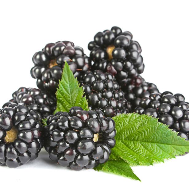 Brombeeren