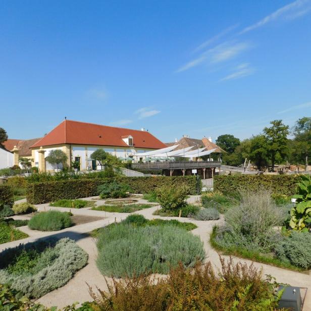 Der Kräutergarten von Schloss Hof