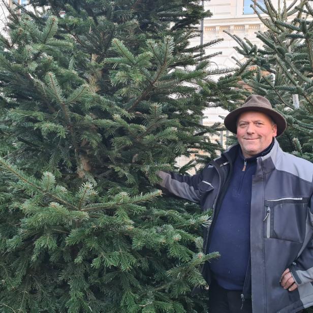 Günter Renner vor dem Christbaum-Verkaufsstand im ersten Bezirk - so schön sollte der Baum möglichst lang bleiben. 