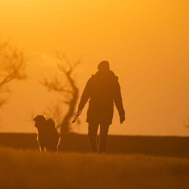 Spazieren mit dem Hund