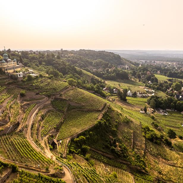 Blick über terrassierte Weinberge auf ein gelbes Gebäude und eine Stadt im Hintergrund.