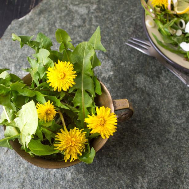 Dandelion flowers in a vintage copper cup isolated