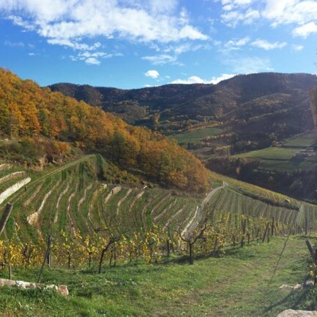 Spitzer Graben in der Wachau