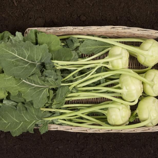 Kohlrabi und Kohlrabiblätter Kohlrabi und Kohlrabiblätter