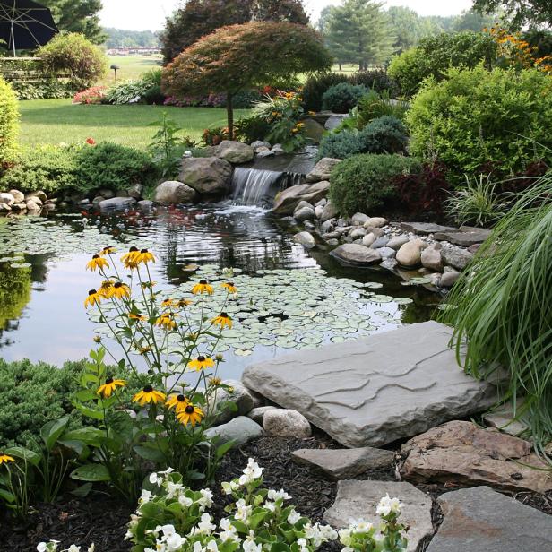 the perfect backyard the perfect backyard