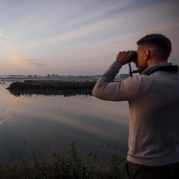 untererinnvogelsafari_oberoesterreichtourismusinnvierteltourismustomson untererinnvogelsafari_oberoesterreichtourismusinnvierteltourismustomson