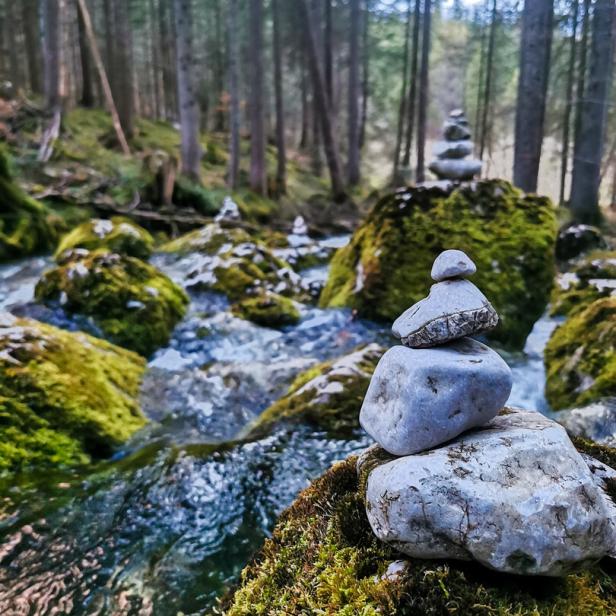 Ein Steinturm steht an einem Bach in einem moosbewachsenen Wald.