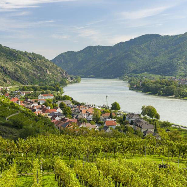 Blick von einem Hügel auf die Donau und die Wachau