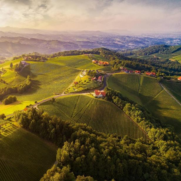 Luftaufnahme von Weinbergen und grünen Hügeln in der Südsteirischen Weinstraße.