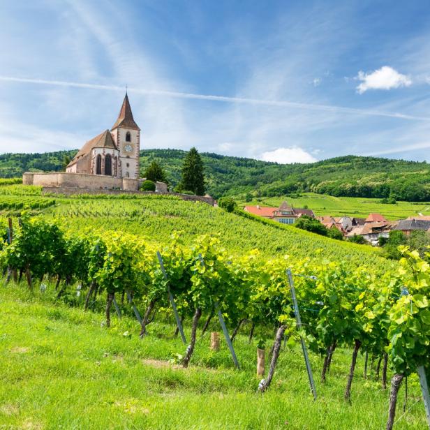 Alte Kirche und Weinberge in Elsass, Frankreich 