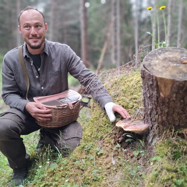 Leeroy Begle, Mykologe