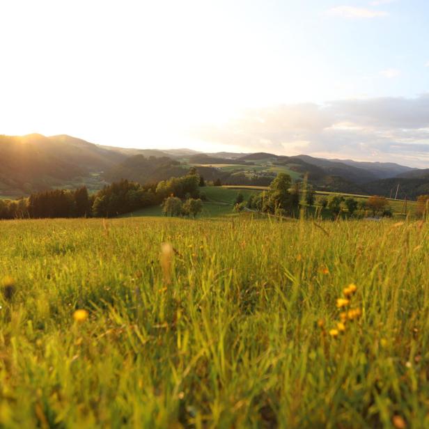 Hügelige Landschaft im Mühlviertel