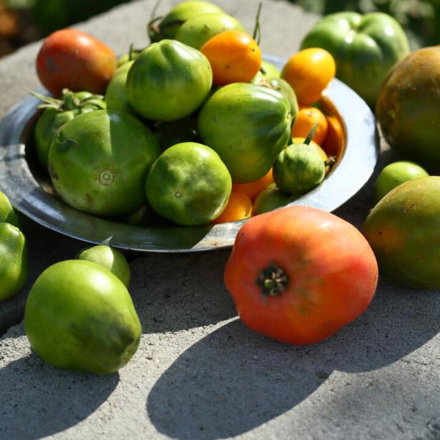 Green tomatoes on concrete, food closeup
