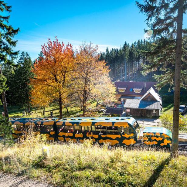 Schneebergbahn "Salamander"