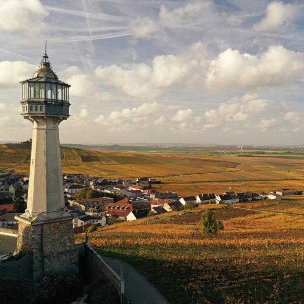 Ein Leuchttürm über Weinbergen im Herbst.